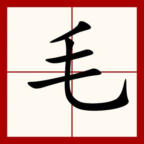 毛|毛（汉语汉字）